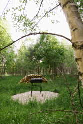 Мангальная зона — фото 1