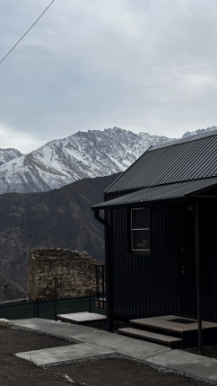 Chilli bros — фото