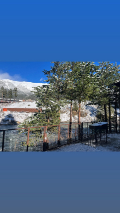 Гостевые домики Огонёк — фото