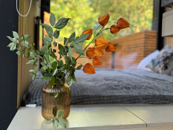 Nemchinovka 1 — фото 2