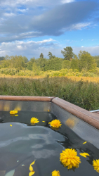 Горячий чан — фото 1