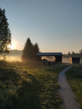 Четырёхместный сафари-тент — фото 2
