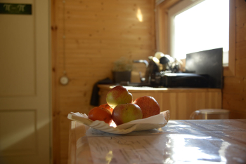 2х-местный дом однокомнатный — фото 9