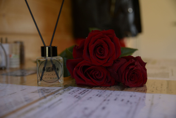 4х-местный дом двухкомнатный — фото 11