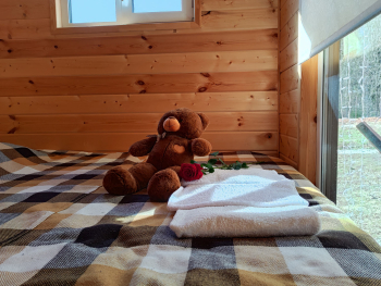 4х-местный дом двухкомнатный — фото 8