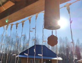 4х-местный дом двухкомнатный — фото 12