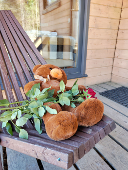 4х-местный дом двухкомнатный — фото 6