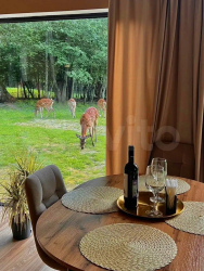 Ресторан на территории — фото 1