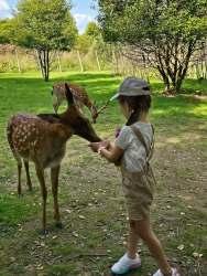 Экскурсии — фото 1