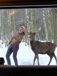 Ферма — фото 1