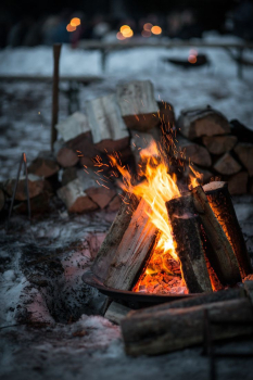 Березовый домик — фото 6