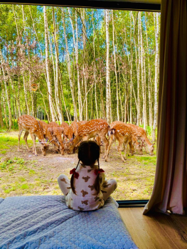 Северный — фото 9