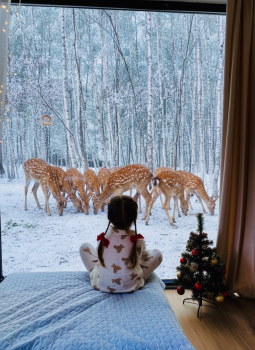 Березовый домик — фото 10