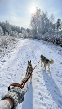 Нежный домик — фото 15