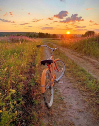 Велопрогулки — фото 1