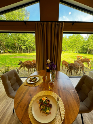 Бэмби Лэнд — фото