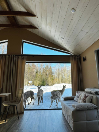 Бэмби Лэнд — фото