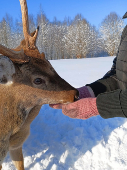 Нежный домик — фото 19