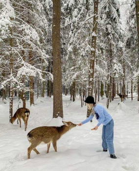 Северный — фото 16