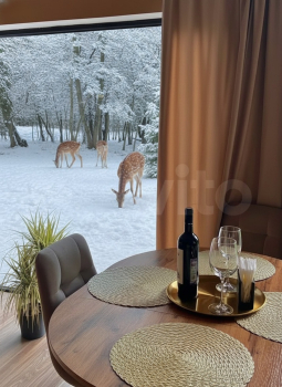 Березовый домик — фото 13