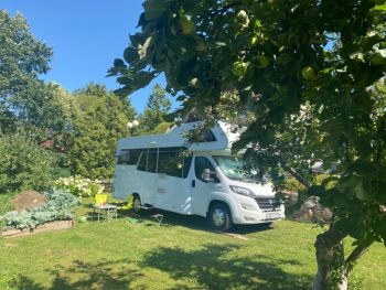 Питч №2 газонный — фото 1