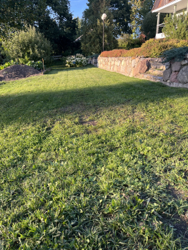 Питч №2 газонный — фото 2