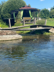 Водоем — фото 1