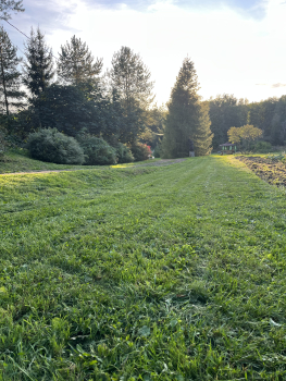 Питч №4 на лужайке — фото 2