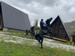 Конные прогулки — фото 1