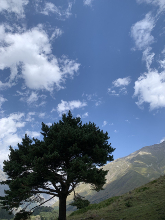 BalkariA-frame — фото