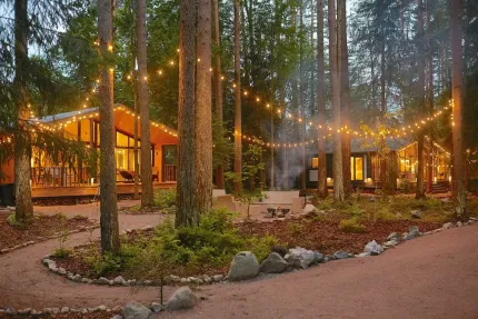 Репинские дачи — фото