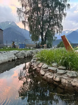 Эйвис — фото