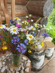 Ферма — фото 3