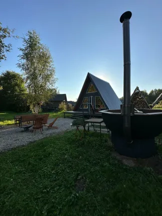 Гнездо — фото