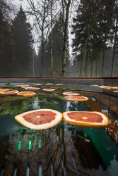 Горячий чан — фото 5