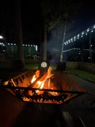 Костровая зона — фото 1