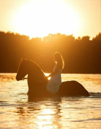 Лесной отель "НЕШАЛАШИ" — фото