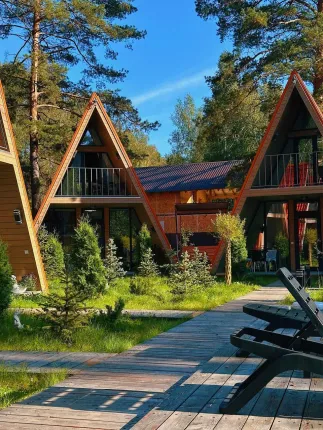 Robin hood — фото