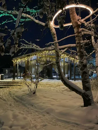 Домик под Выборгом — фото