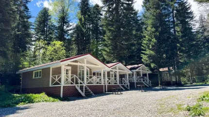 Пихта-парк — фото