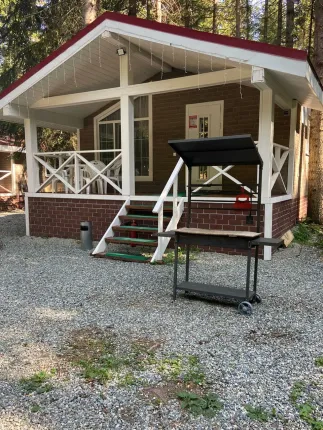 Пихта-парк — фото