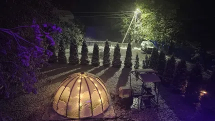 Шишкино-парк аэропорт Домодедово — фото