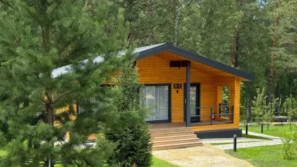 Forest Green — фото