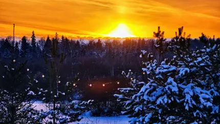 ZEFIRKA — фото